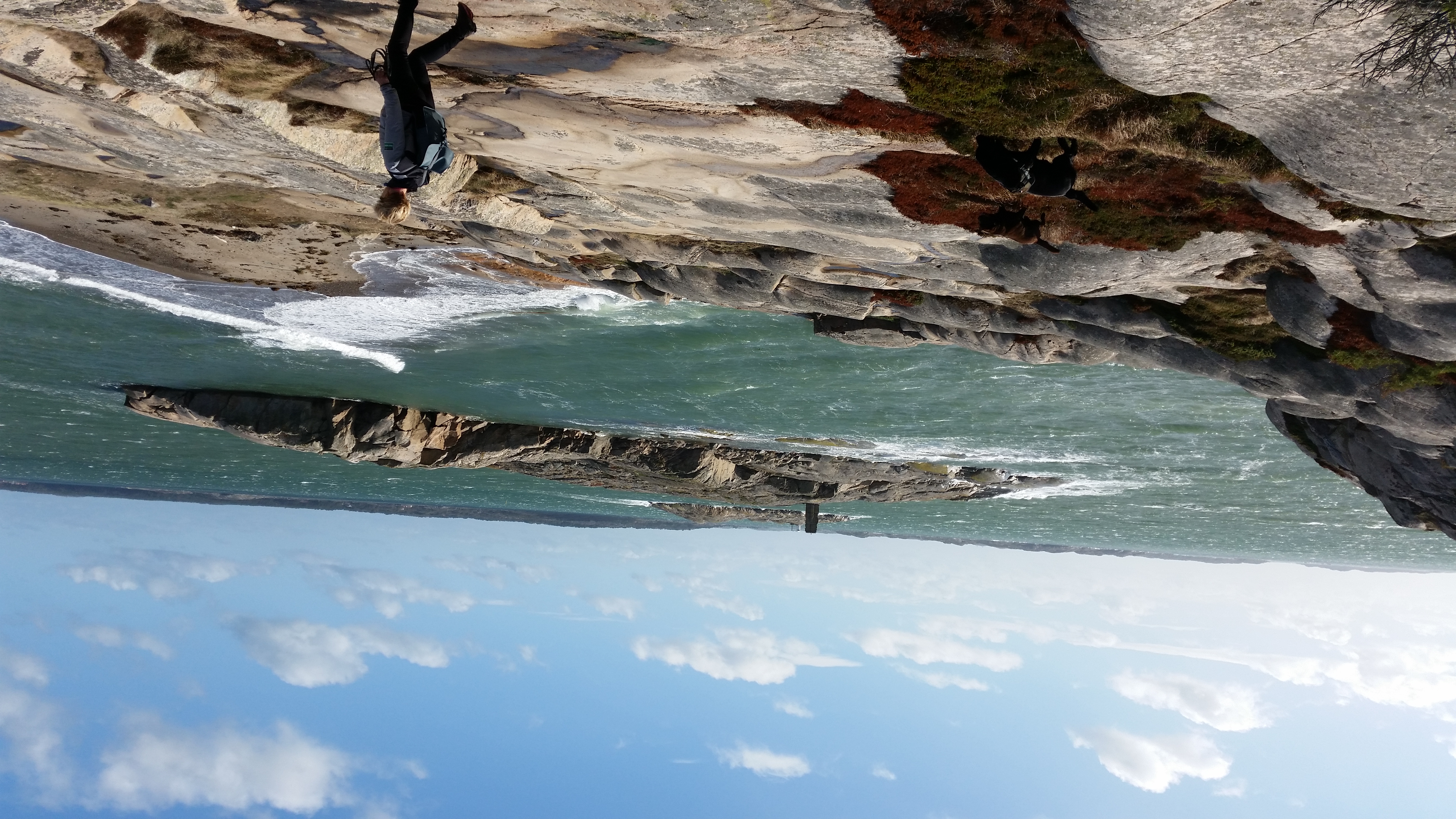 Saltö naturreservat