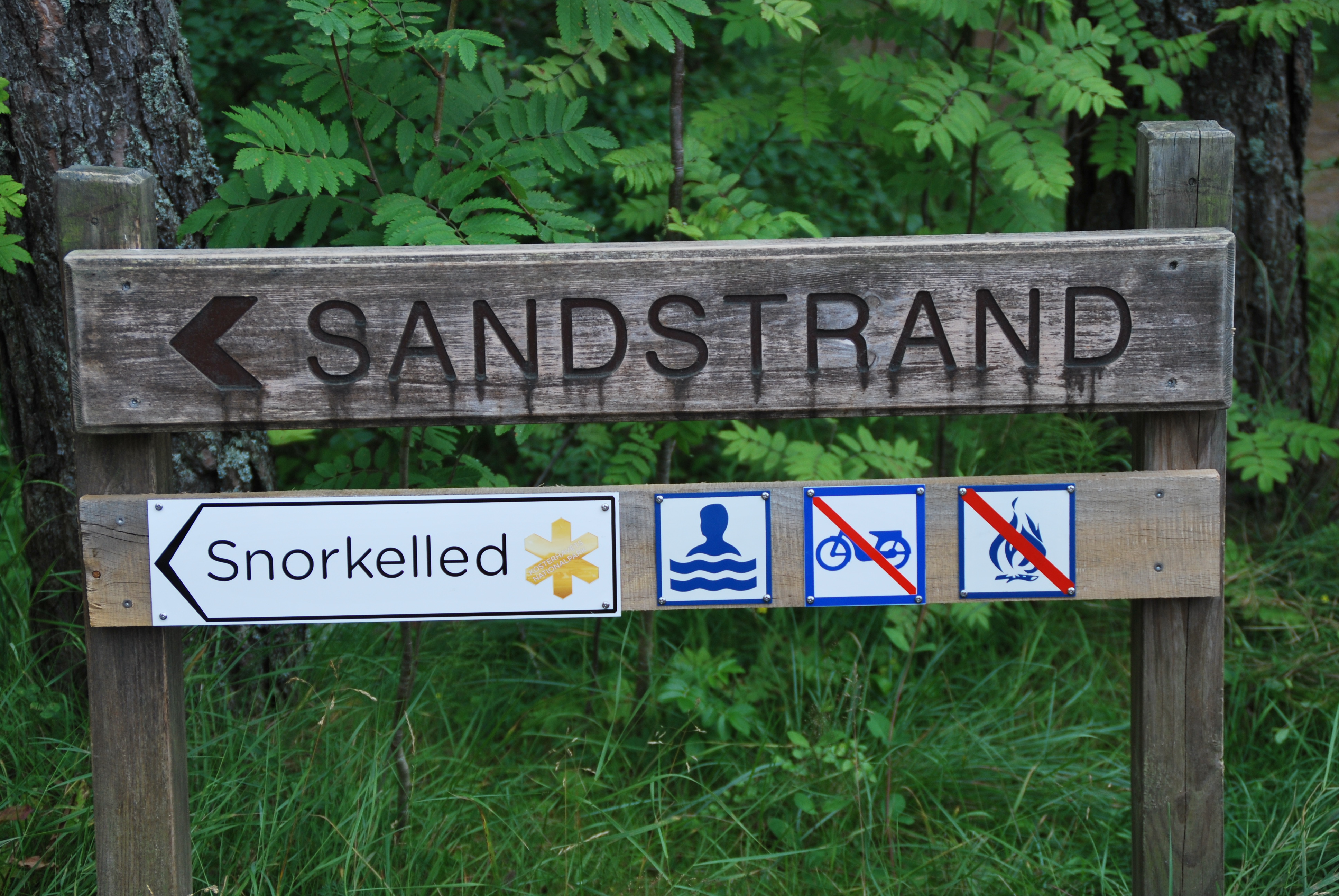 Träskylt som visar vägen till strand med snorkelled på ön Saltö