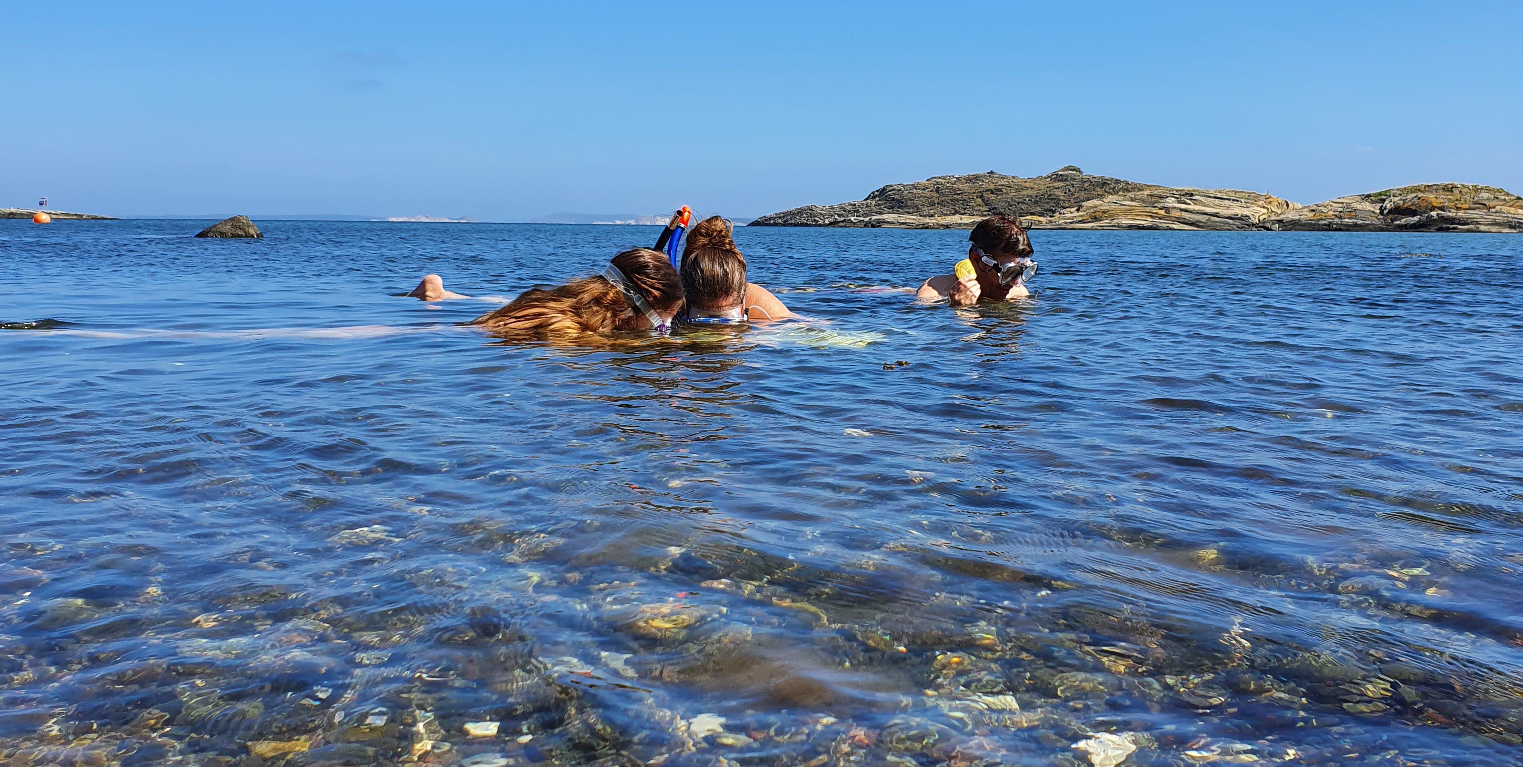 Snorkelled på Sydkoster