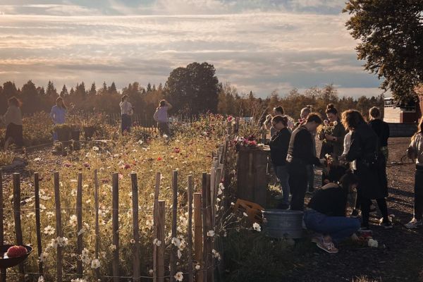 Människor i solnedgång