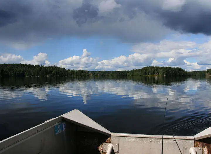 Såken FVO
