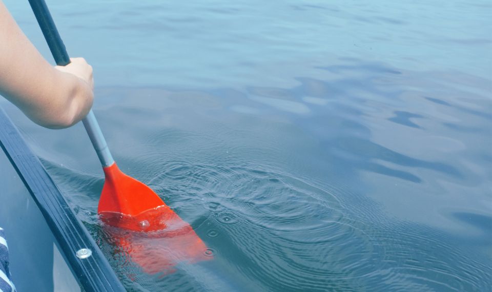 Paddelåra i vatten