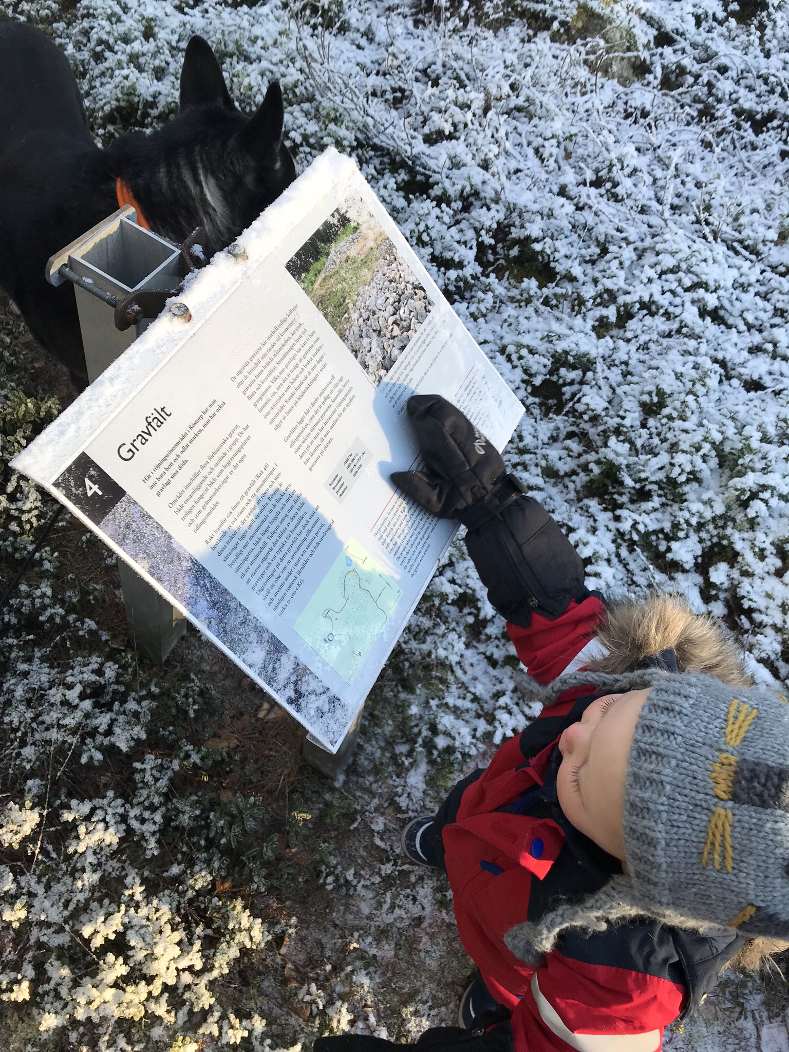 Barn läser på skylt