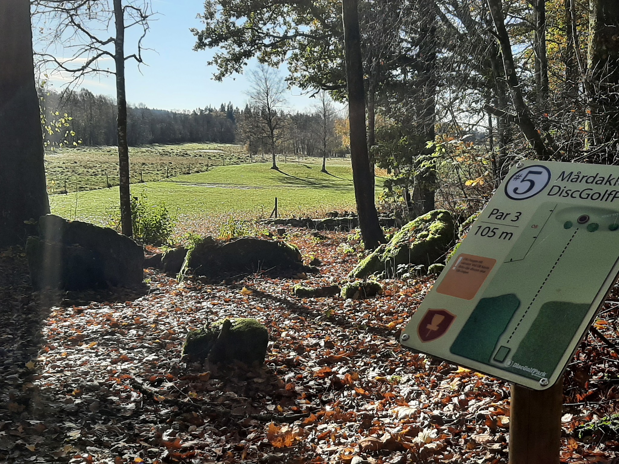 Utsikt över discgolfbana