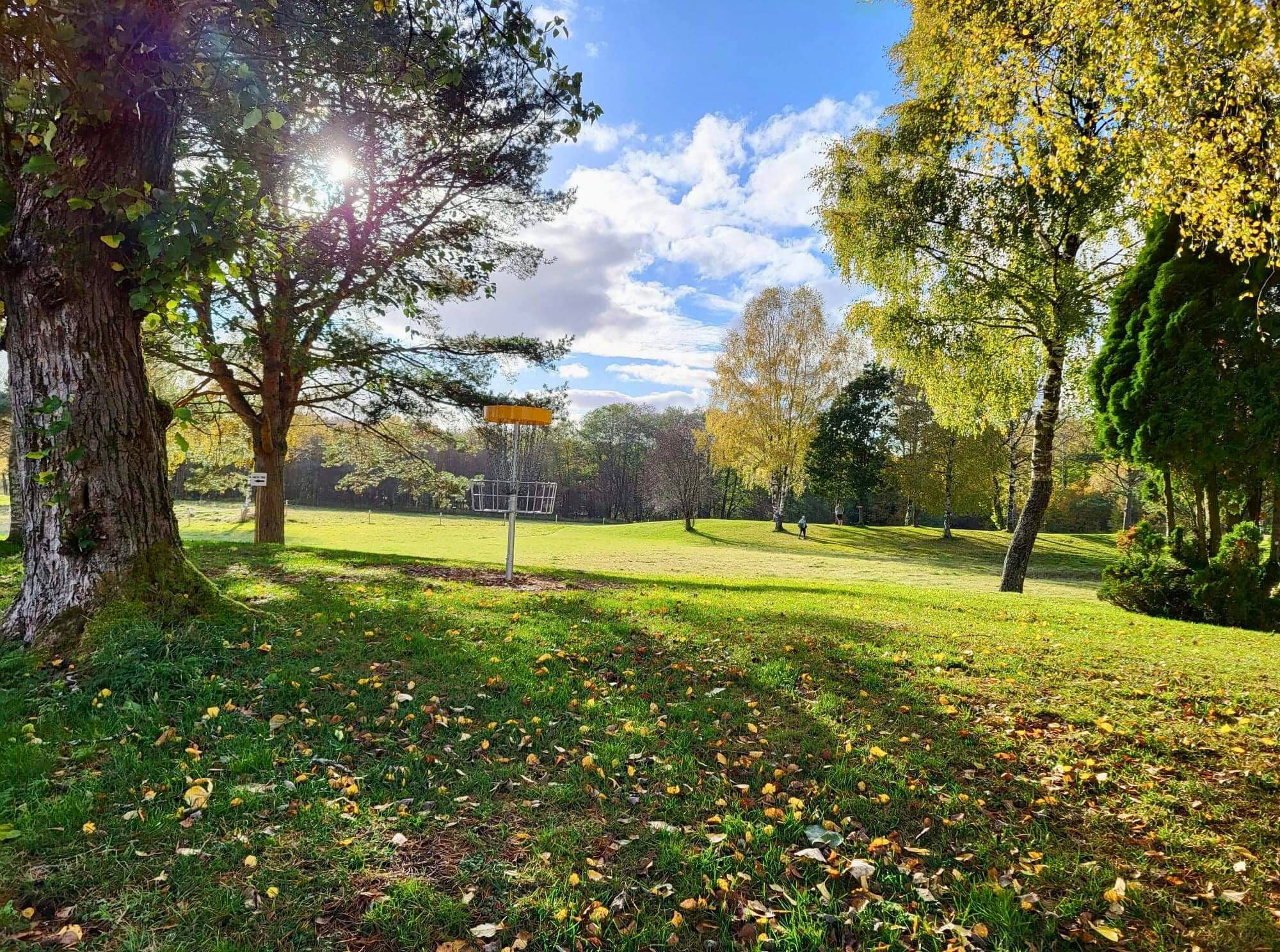 Discgolf korg i solsken