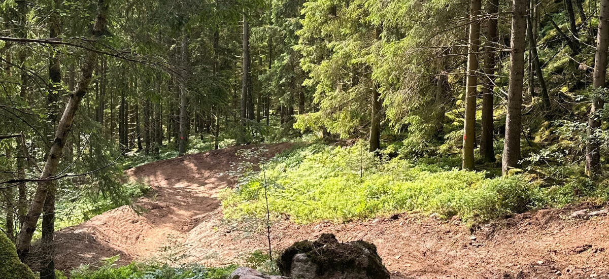 Downhill och teknikbana MTB
