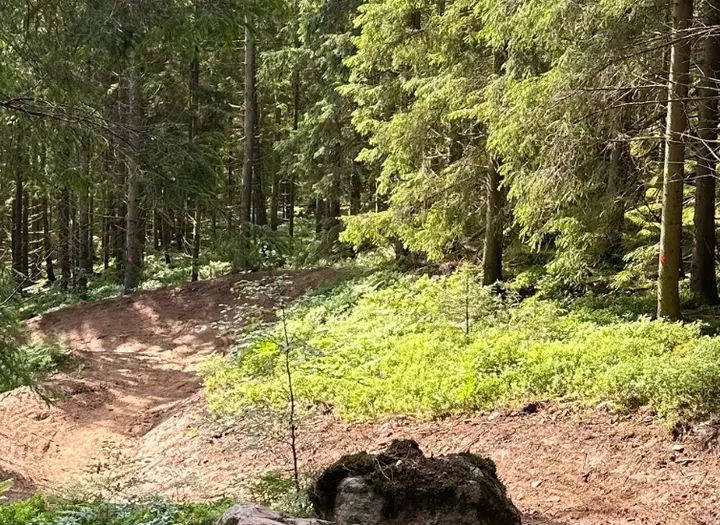 Teknikbana och downhill MTB