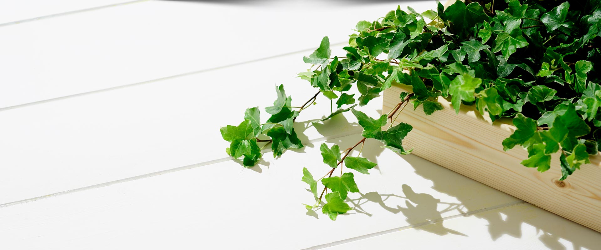 Blomstergården Tanum