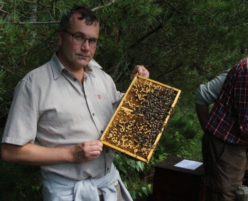 Widéngården Kville - Biodling
