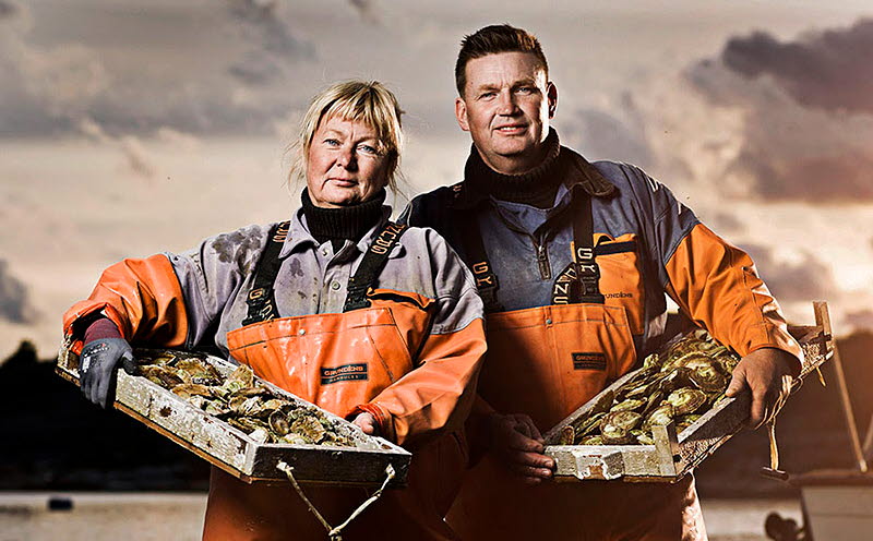 Havstenssunds-ostron