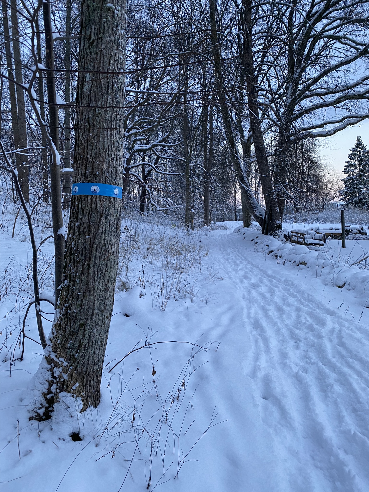 Vintervandra i Tanum