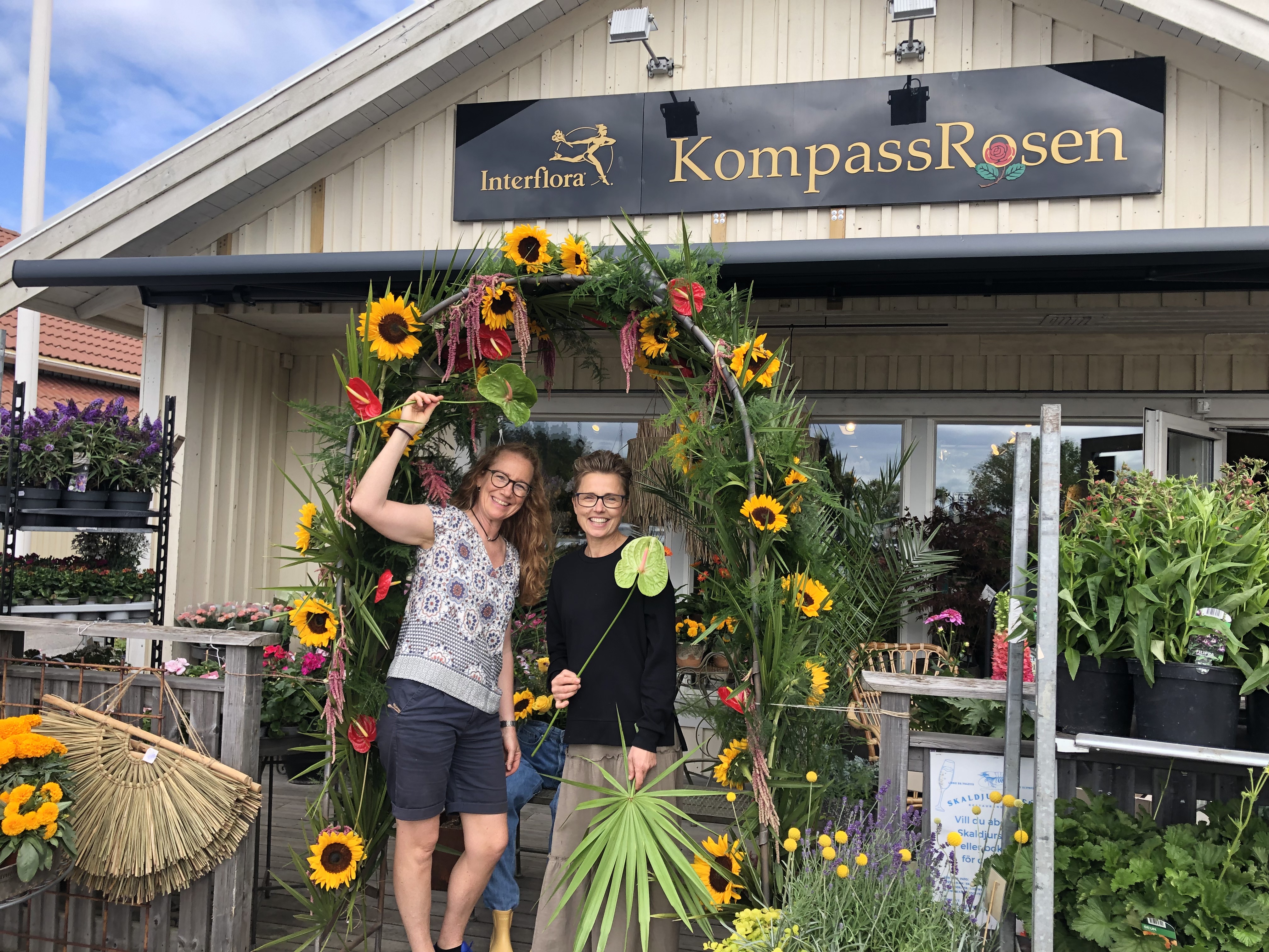 Kompassrosen Blommor