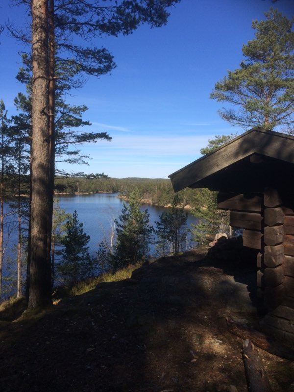 Mickelskogen-Vaktarekullen