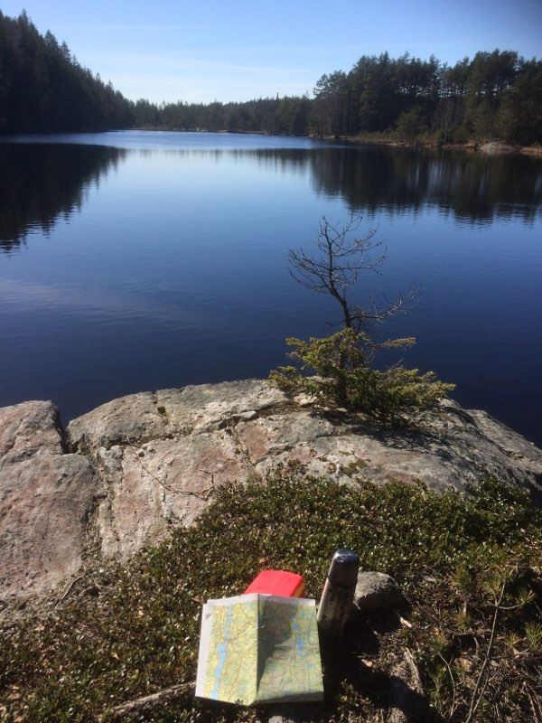 Mickelskogen - Vaktarkullen