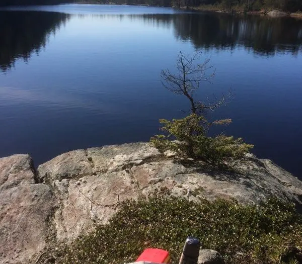 Mickelskogen - Vaktarkullen