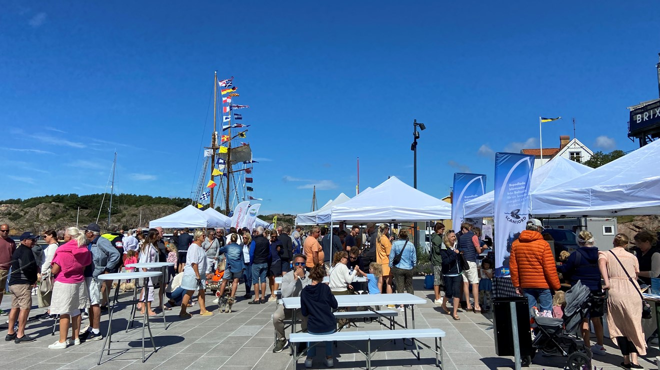 Fjällbacka Matmarknad