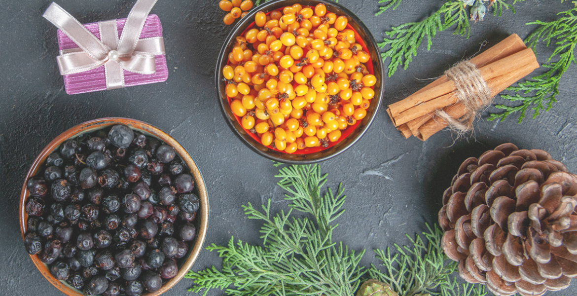 Widéngården Kville BÄR