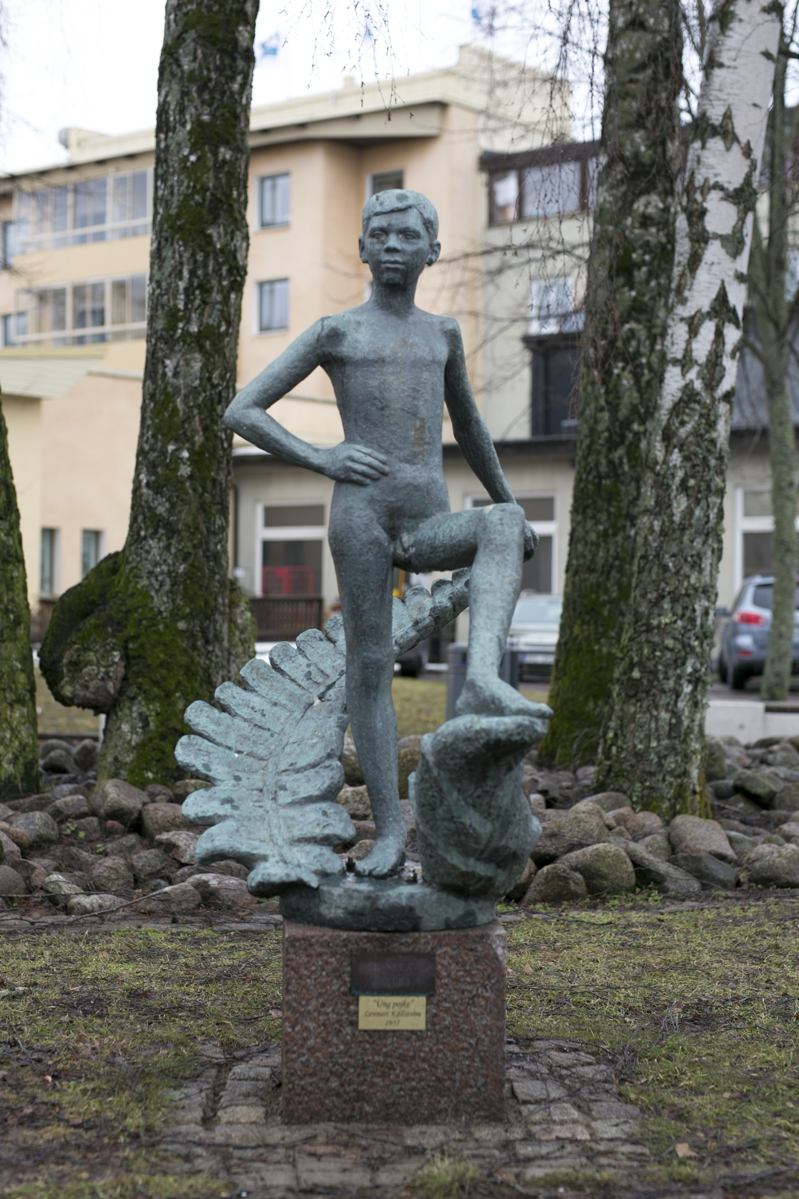 Ung pojke