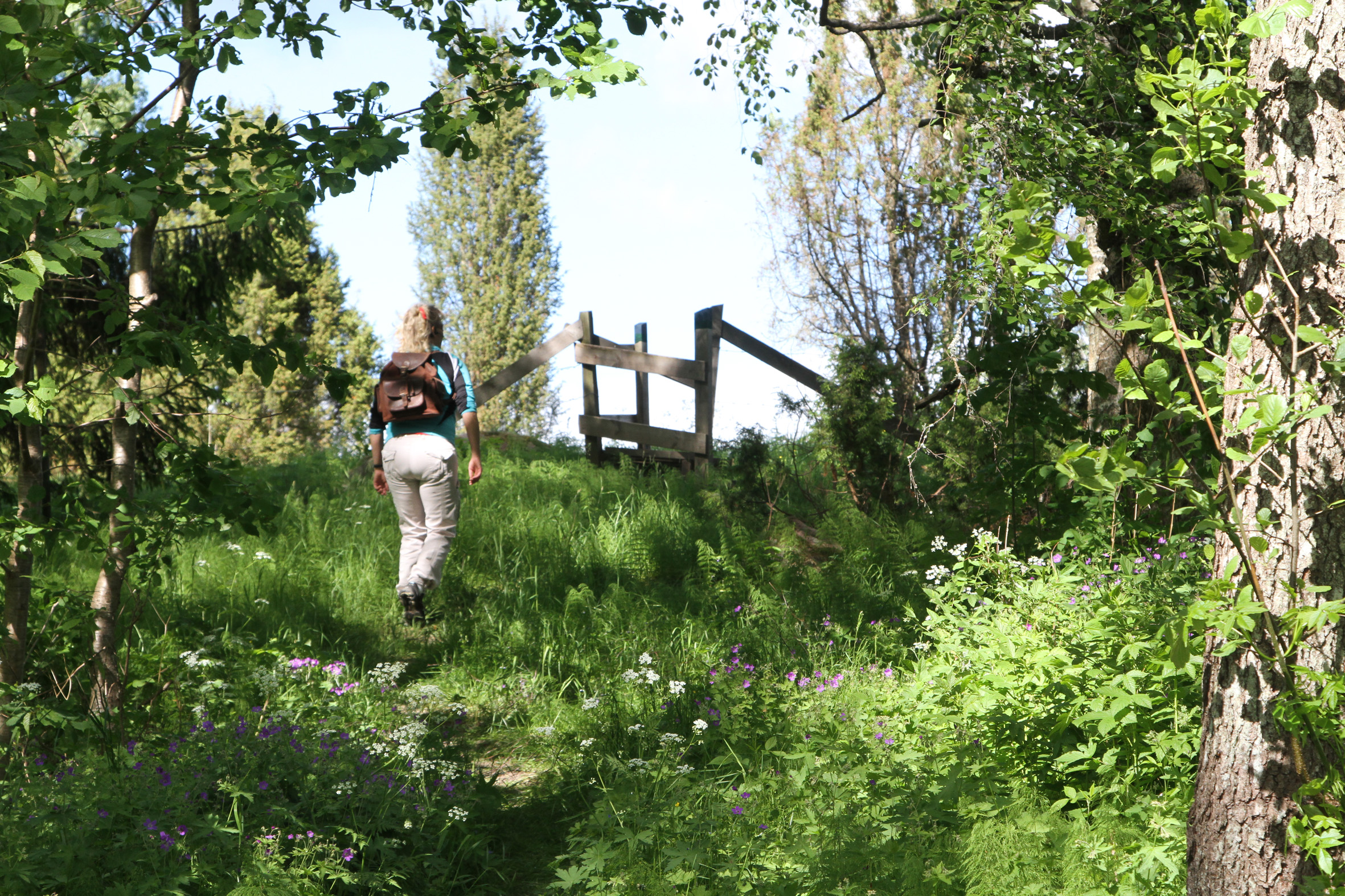 Vandring längs med Å-leden