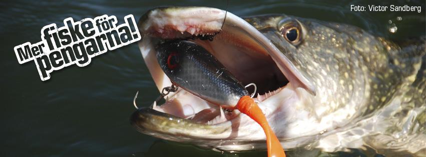 Olssons Fiske