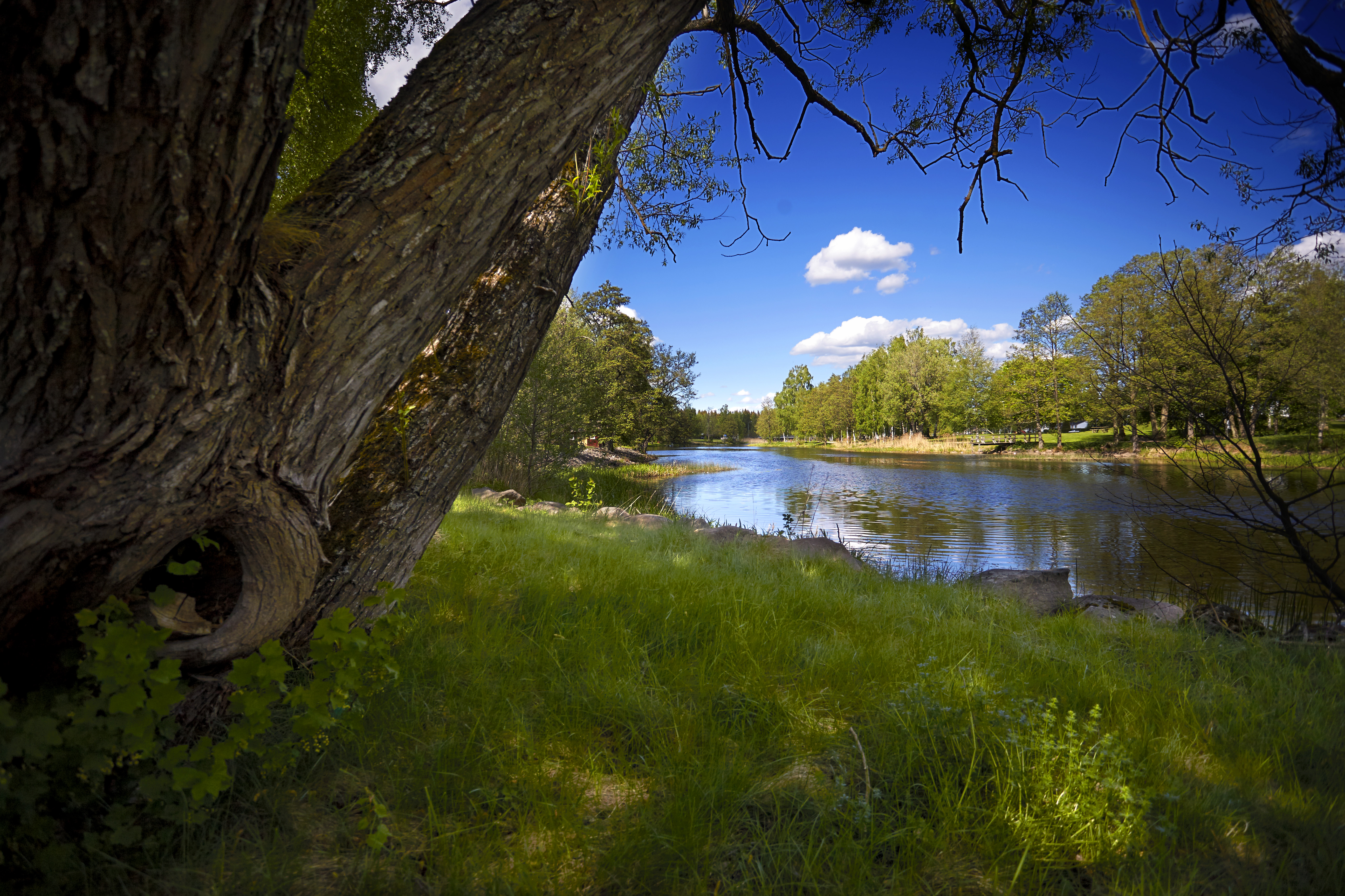 Naturbilder Tibro, Ånaplan och Tidanån