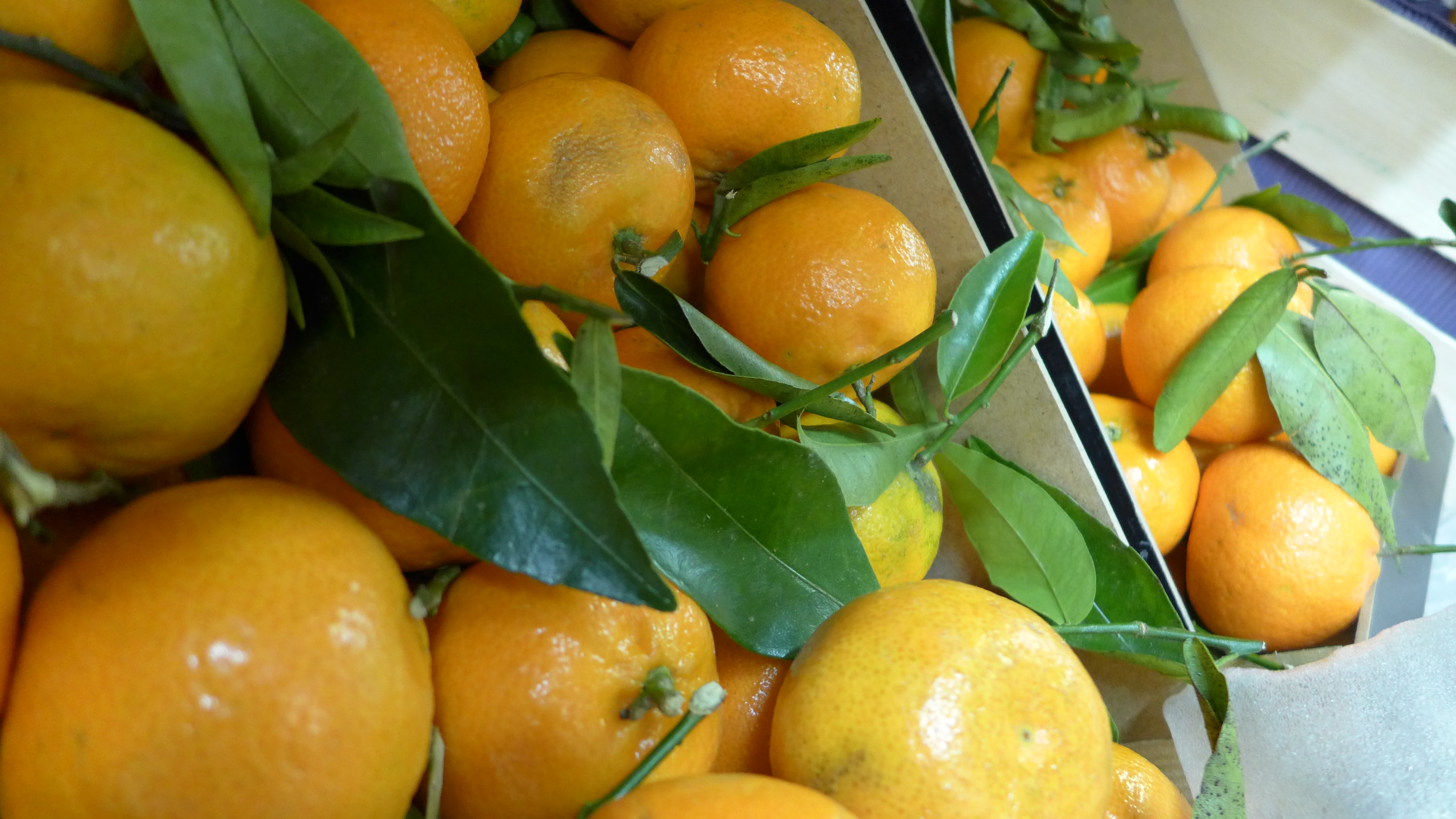 Citroner i butik