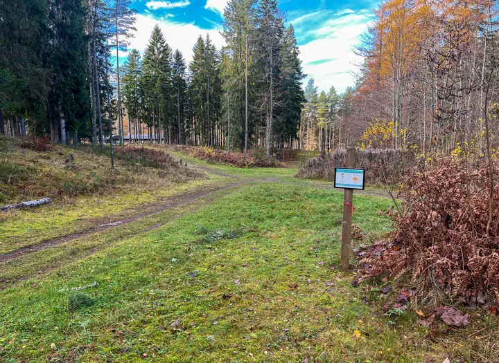 Aktivitetsrundan