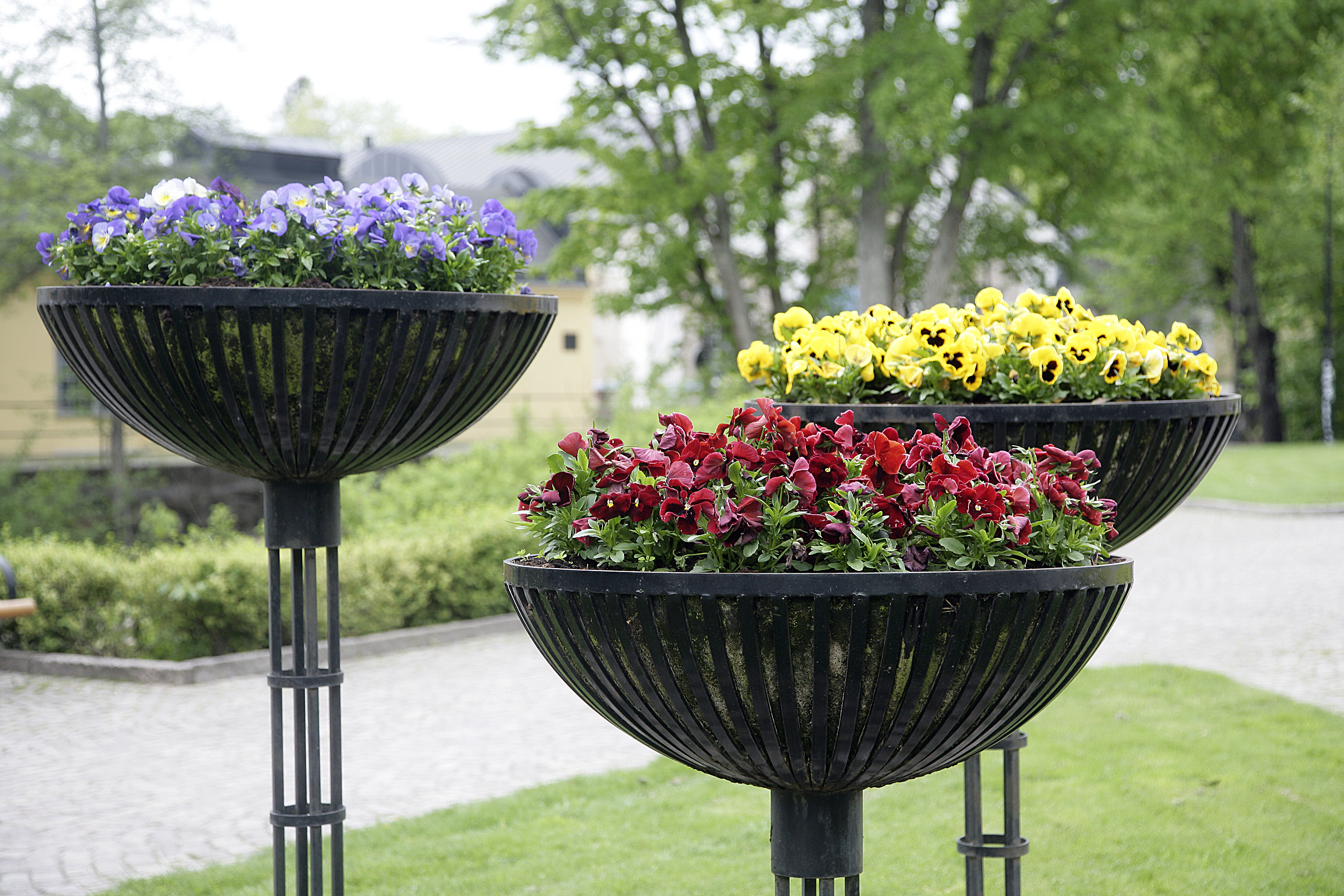 Blomsterplantering i Tidaholms centrum i lila, rött och gult.