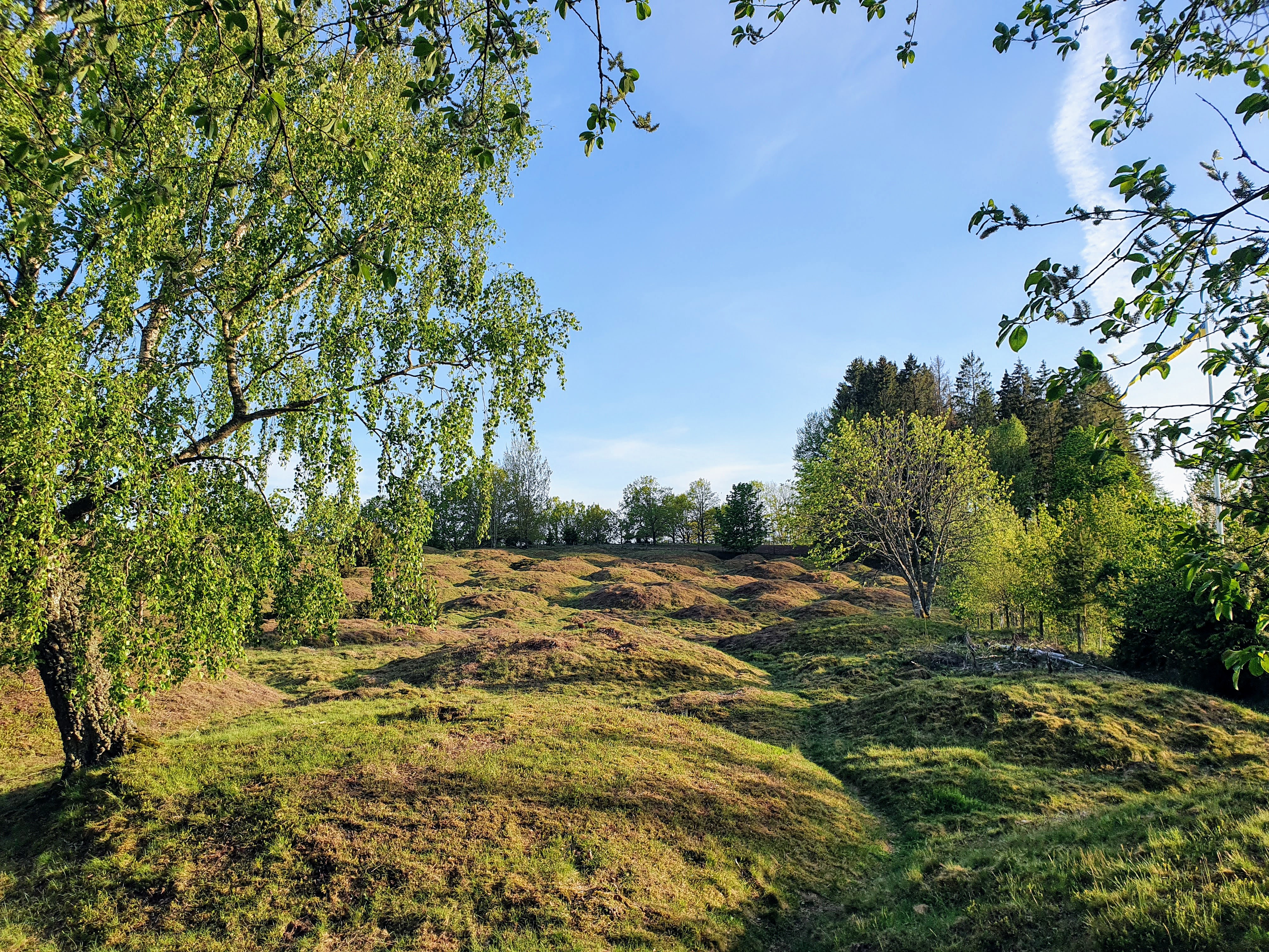 View of Dimbo tomb field