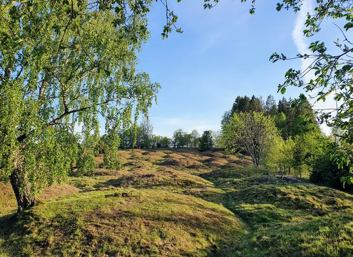 Dimbo gravfält