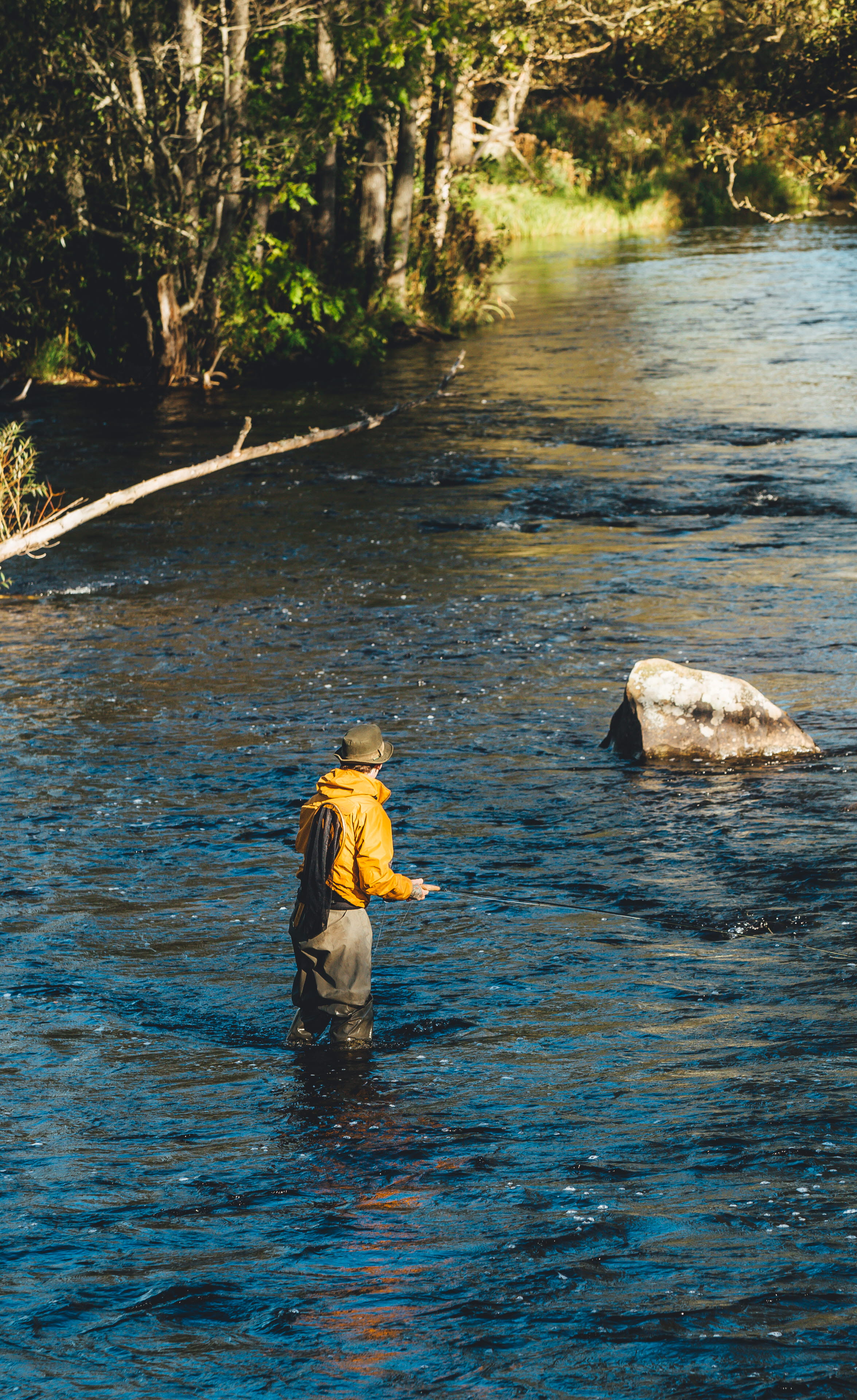 En man som står i en sjö och flugfiskar