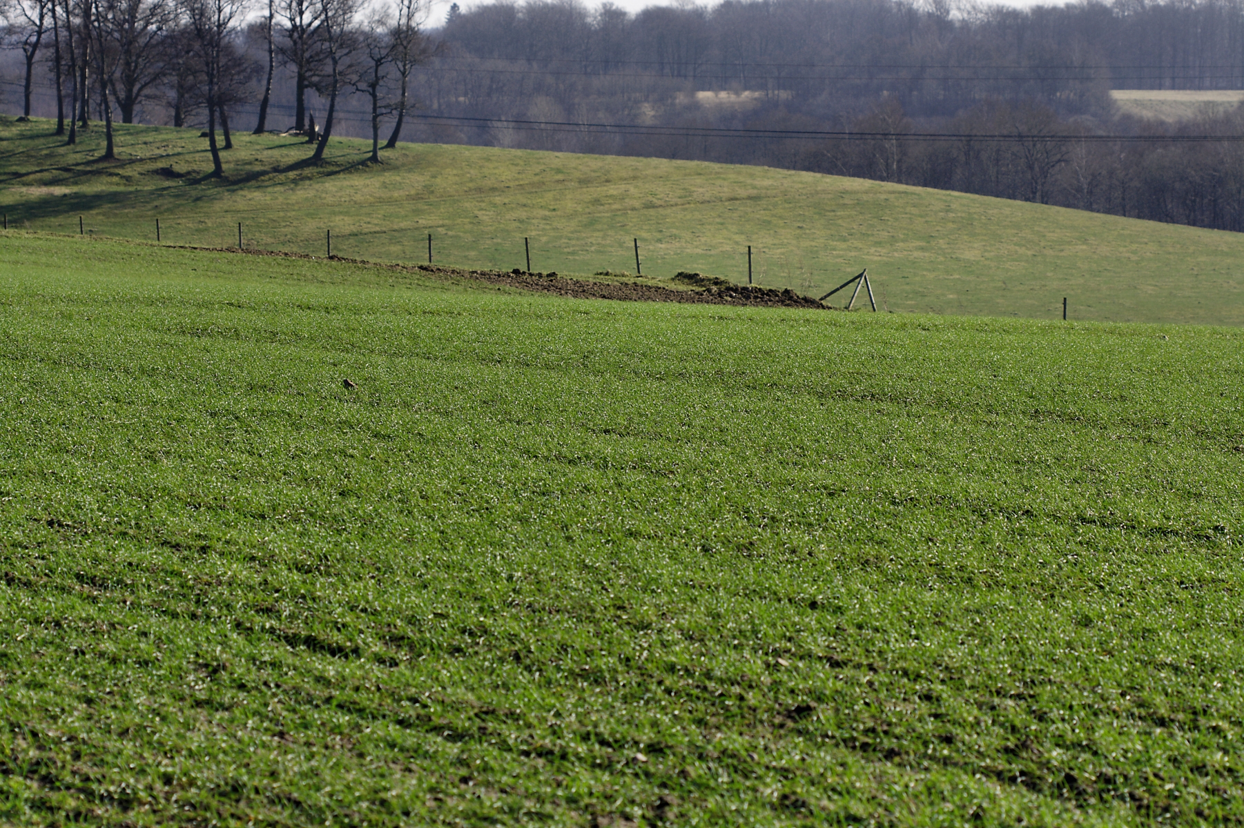 Gunniltorps naturreservat