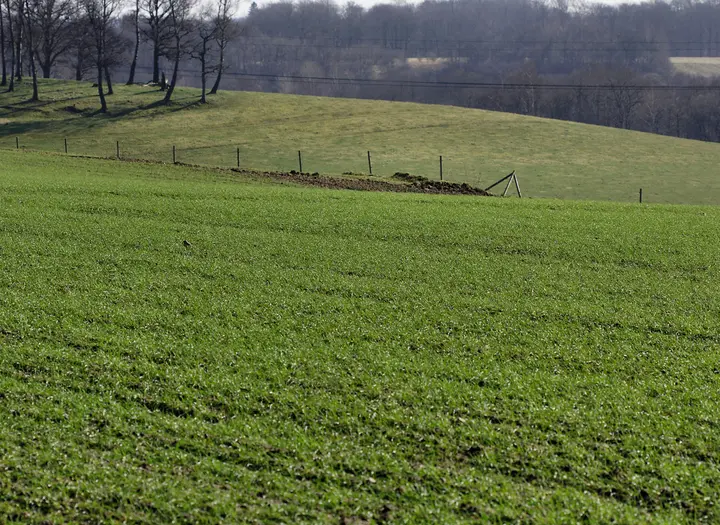 Gunniltorps naturreservat