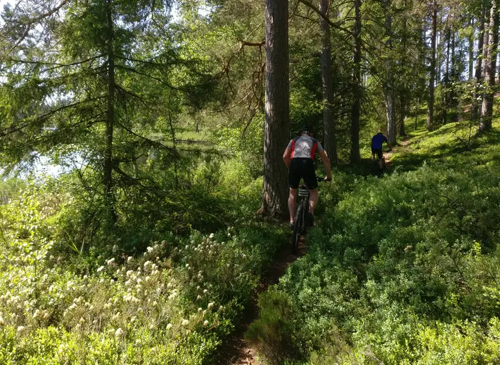 MTB-led på Hökensås