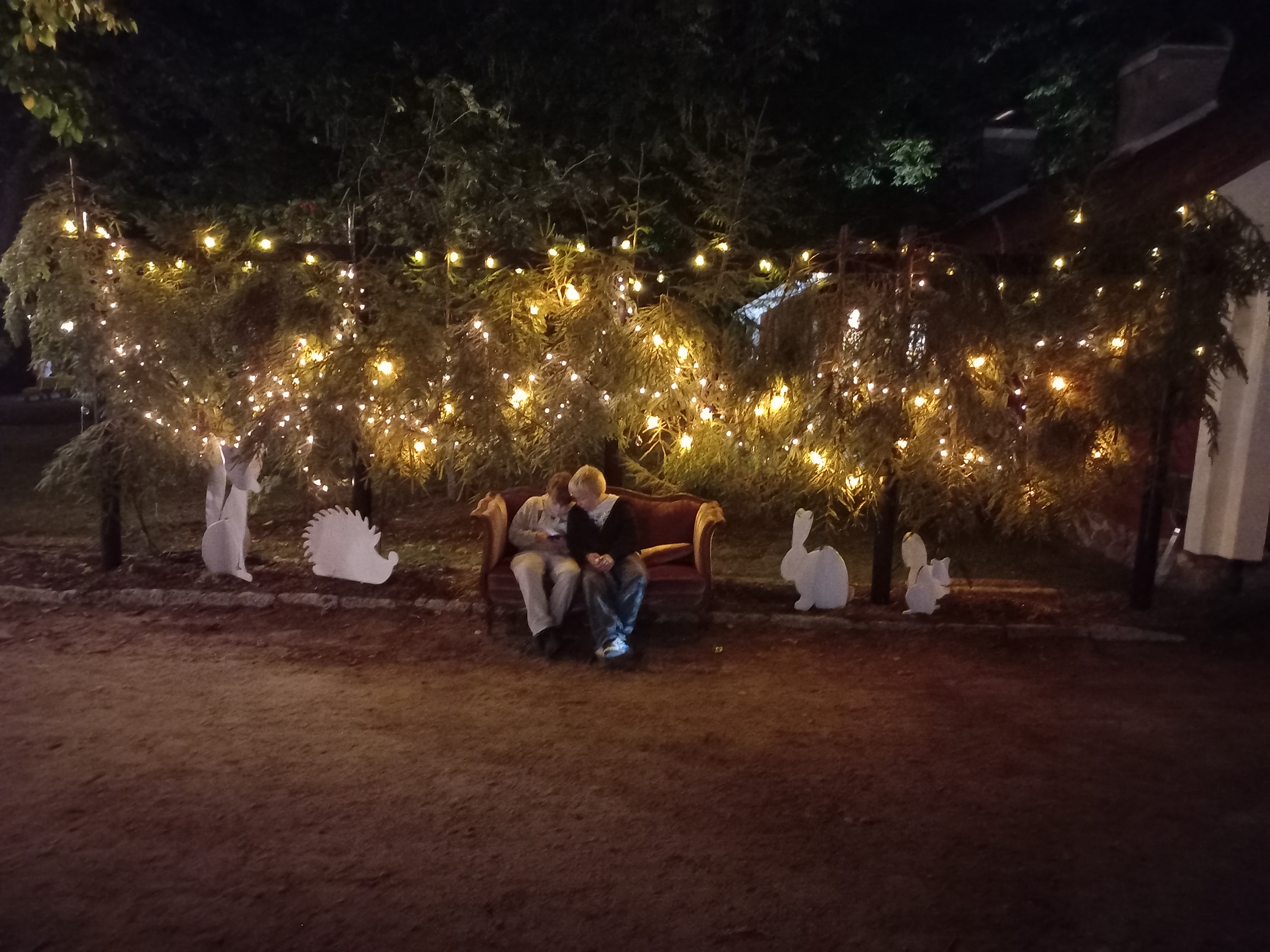 Bild på Art in Light