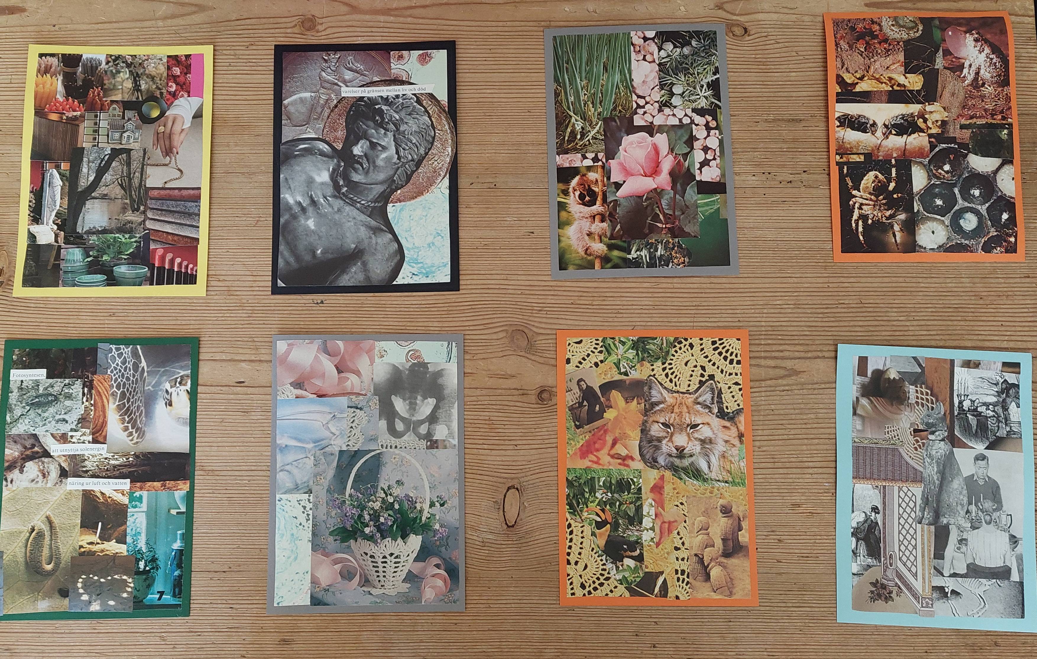 Bild på målningar av Henny Johansson