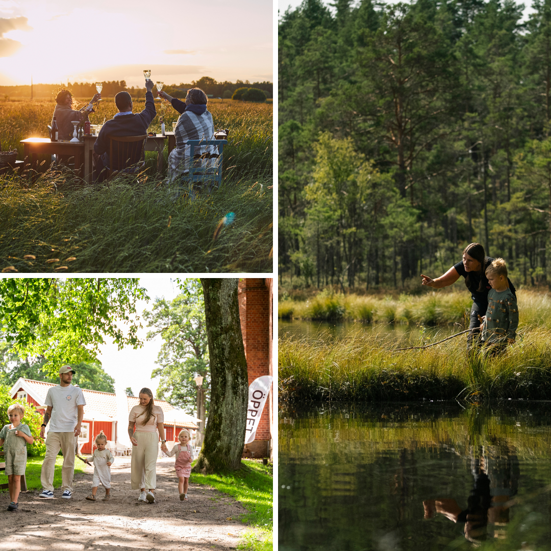 Turbinhusön, fiske, camping 