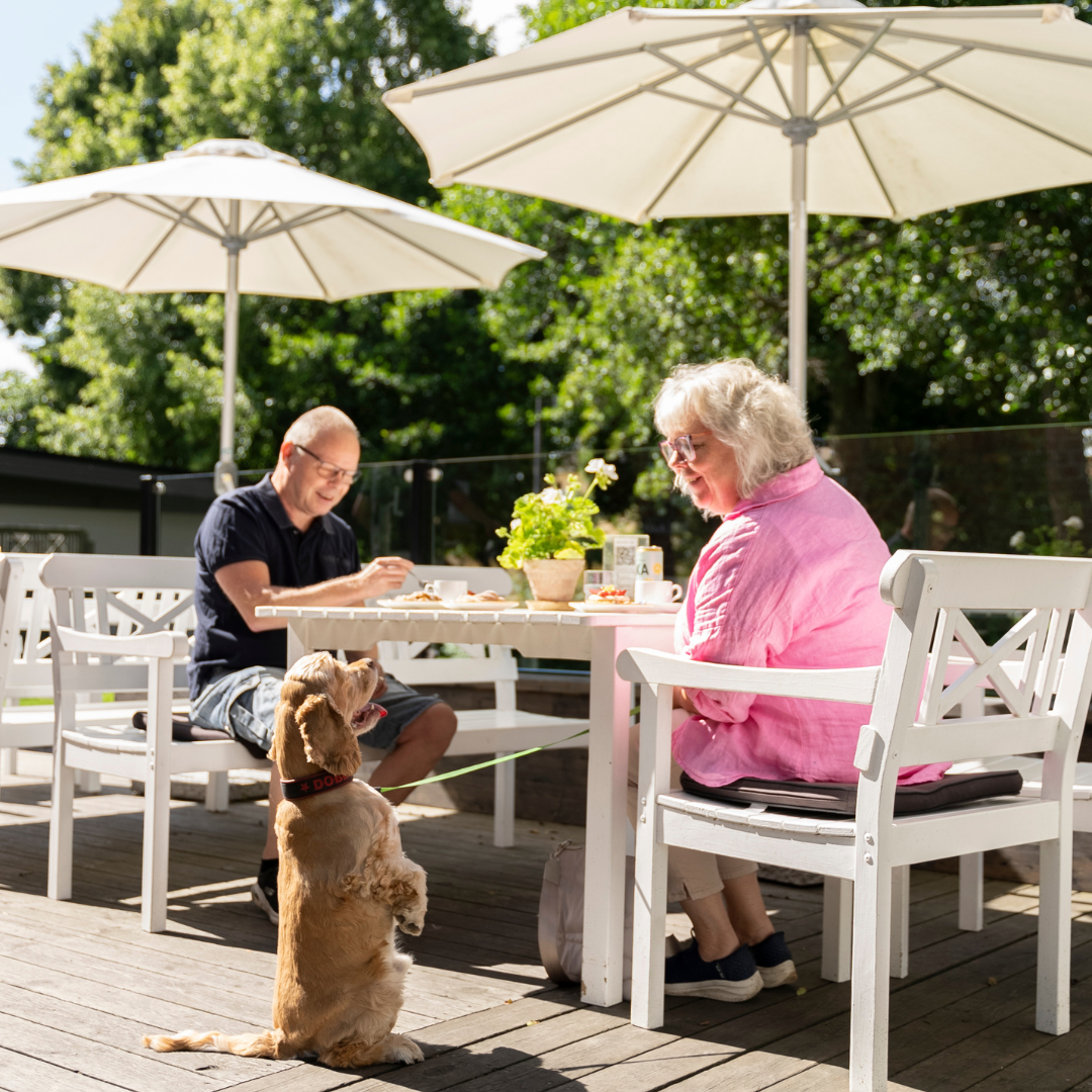 Turbinhusön, fika, hund
