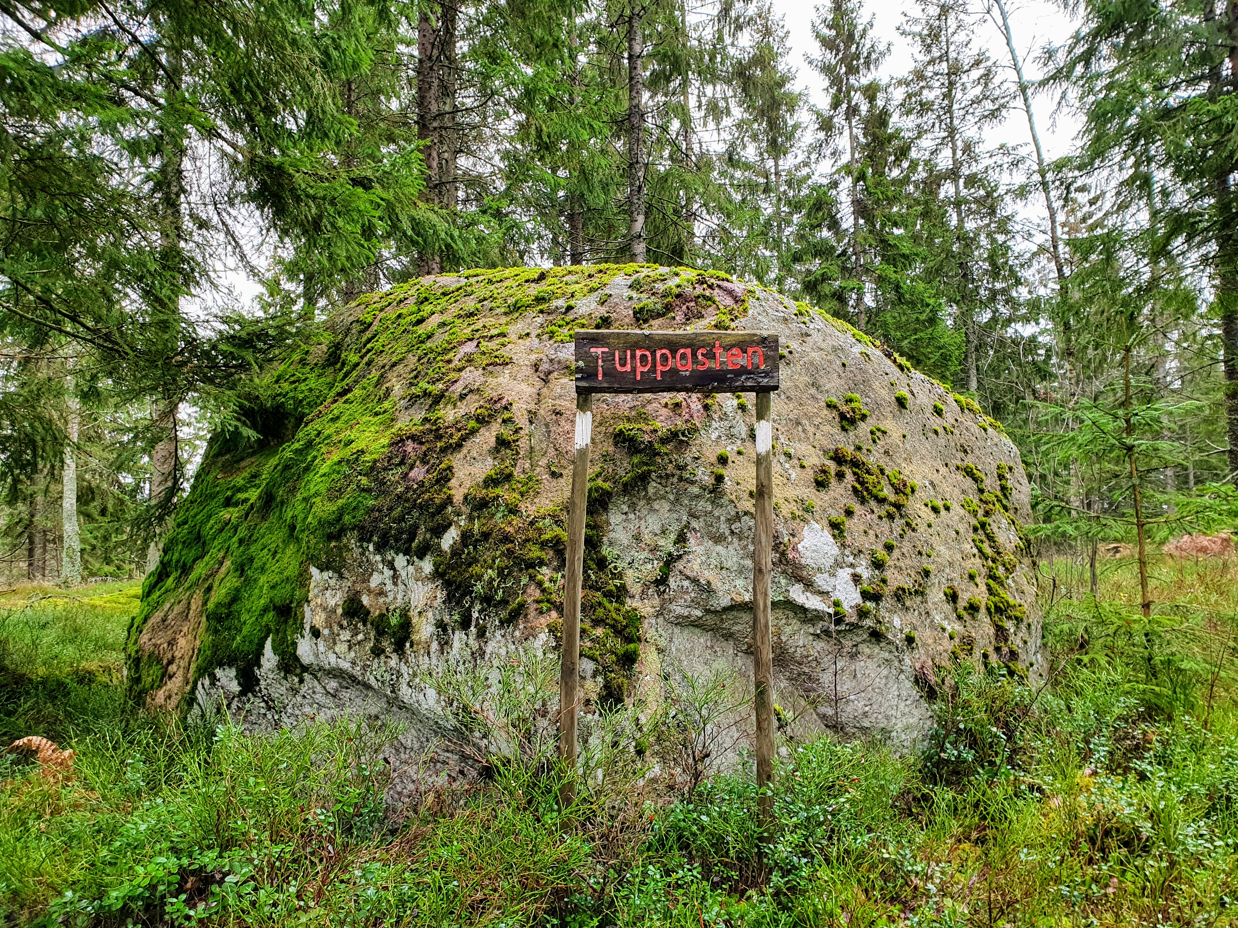 Stor sten som kallas för Tuppasten på Varvsberget.