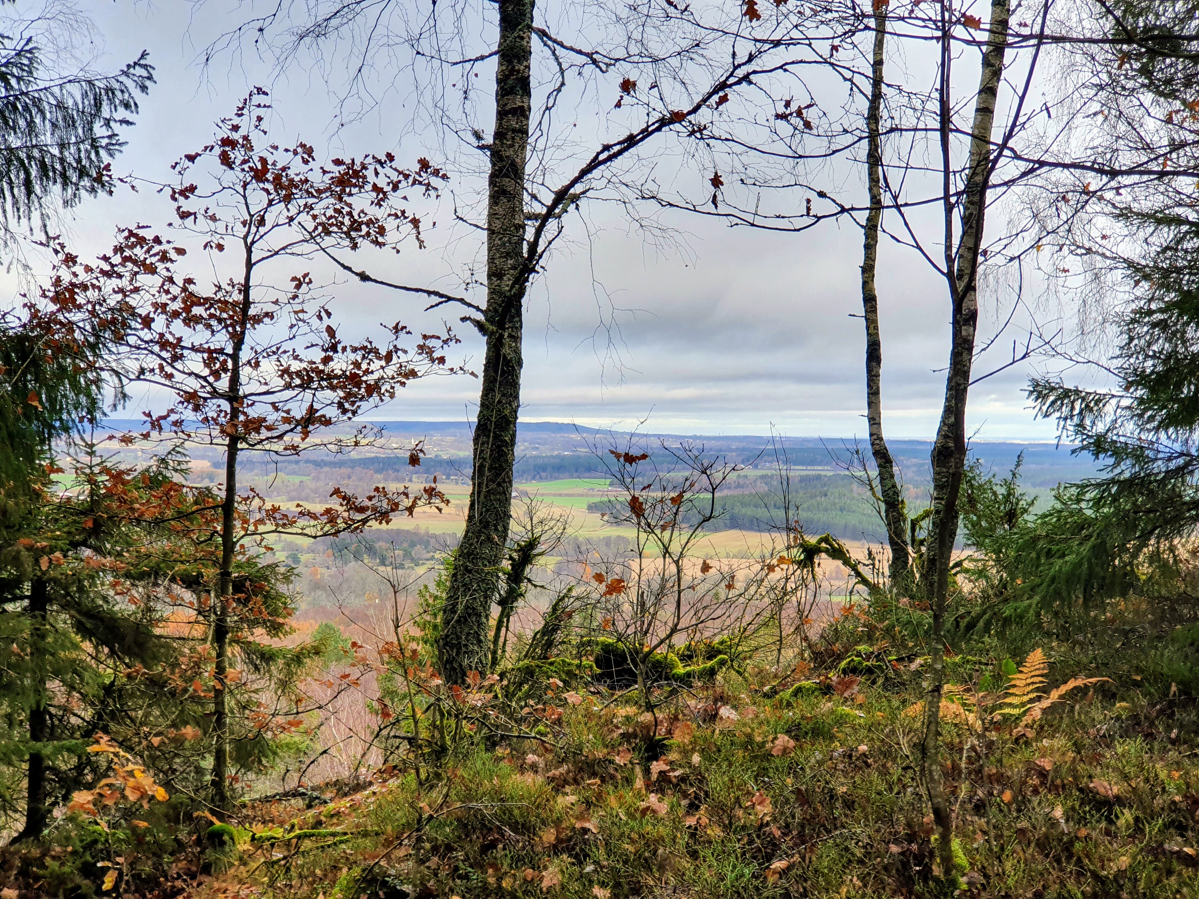 Vy från Högeklint på Varvsberget.