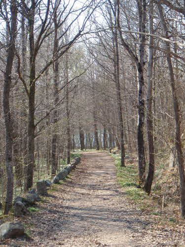 Bild Vägeröds dalar