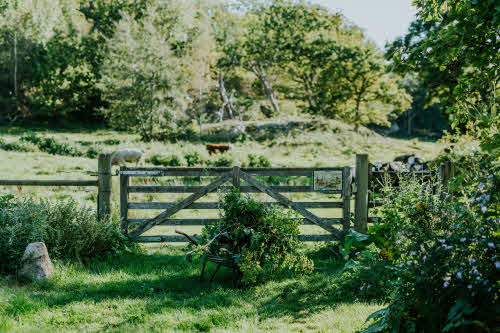 Kärlingesund naturbild