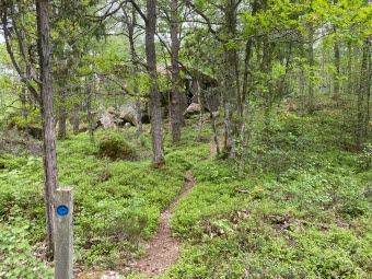 Stig fram till Ursten