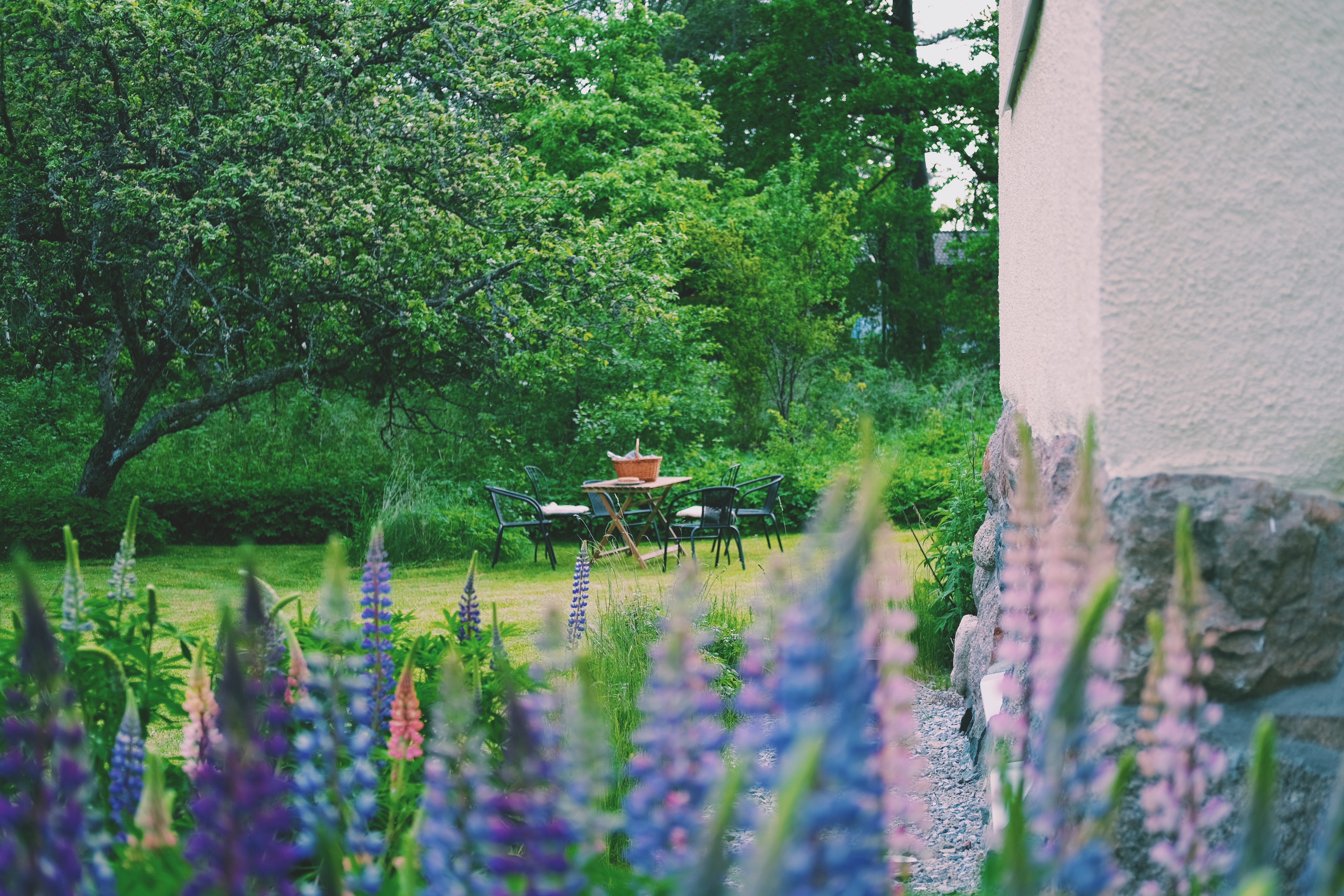 Elin Sundbergs trädgård vid Villa Solfrid.