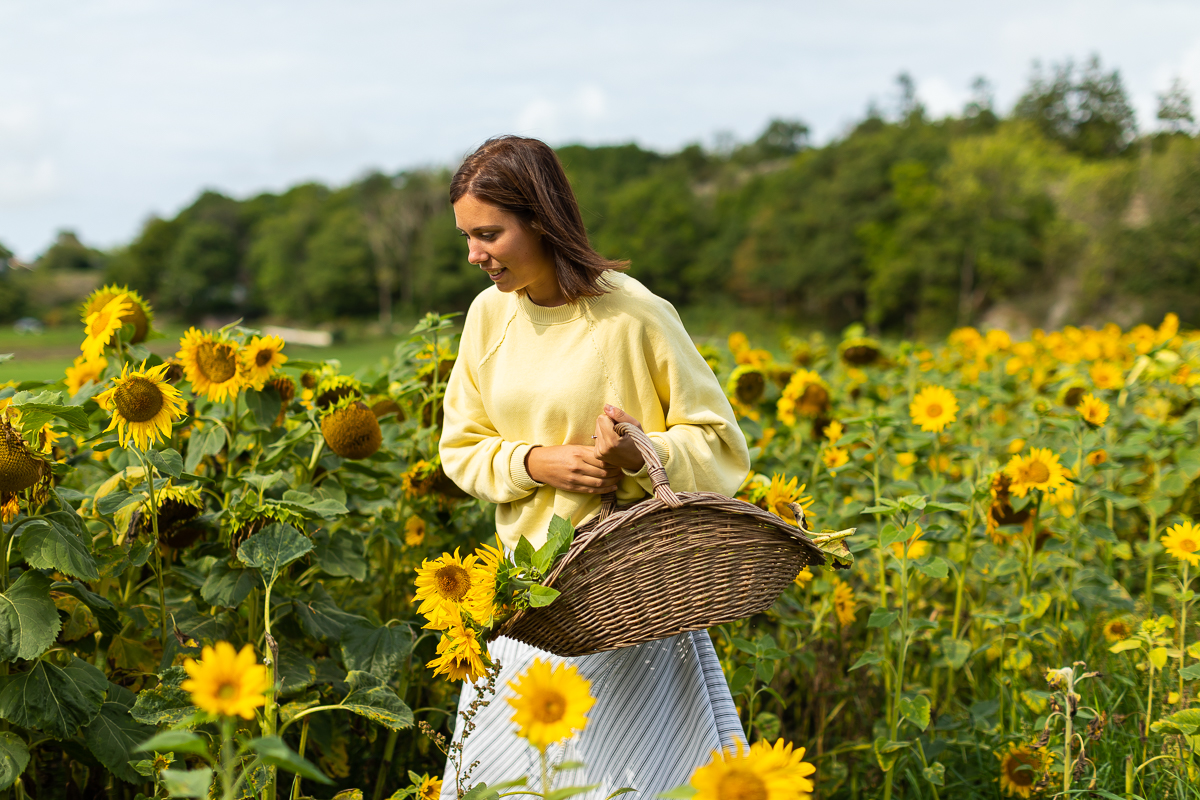 Lekanders Bär och Boende 