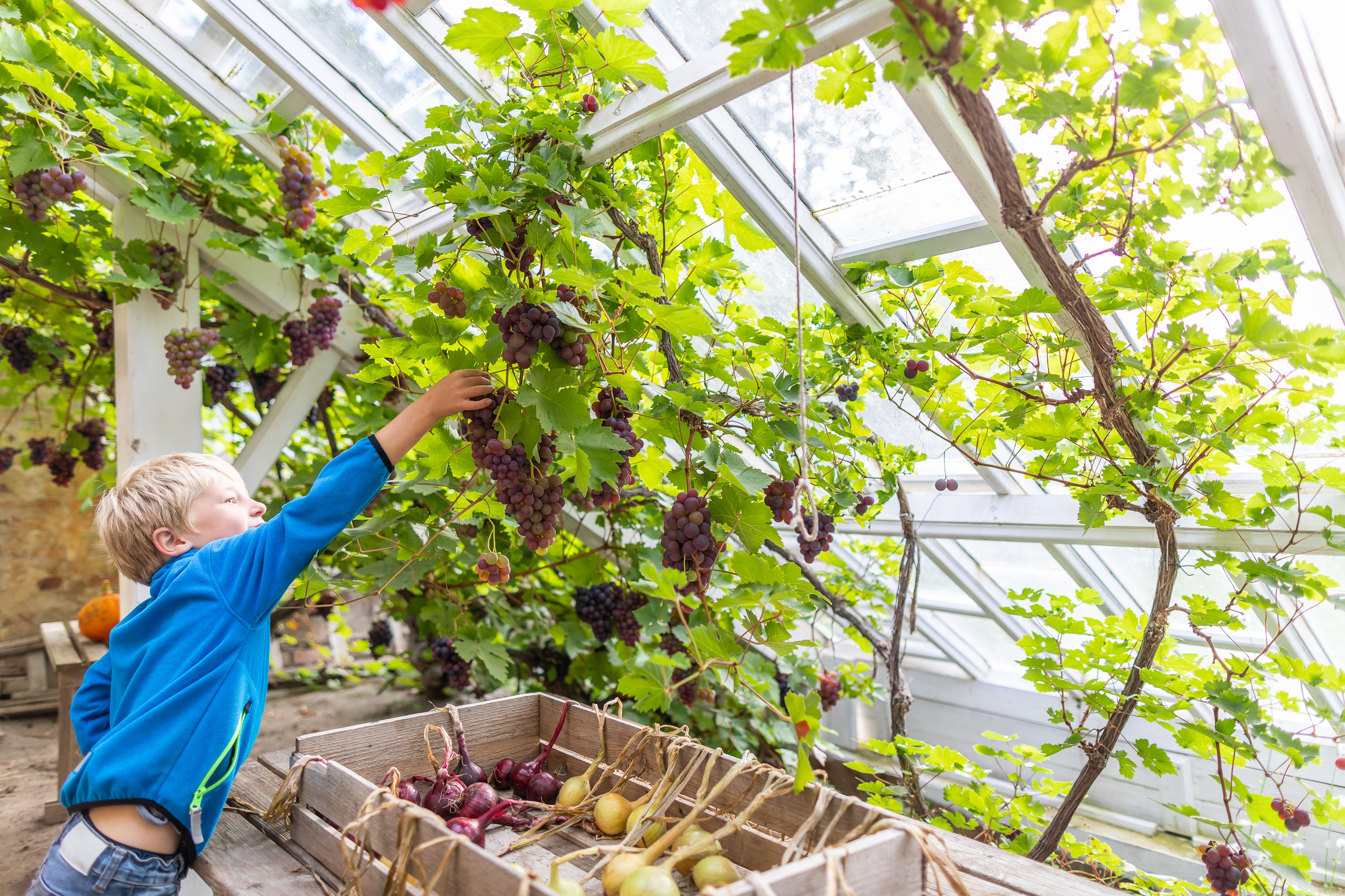 Vinkastet på Sundsby Säteri, Tjörn