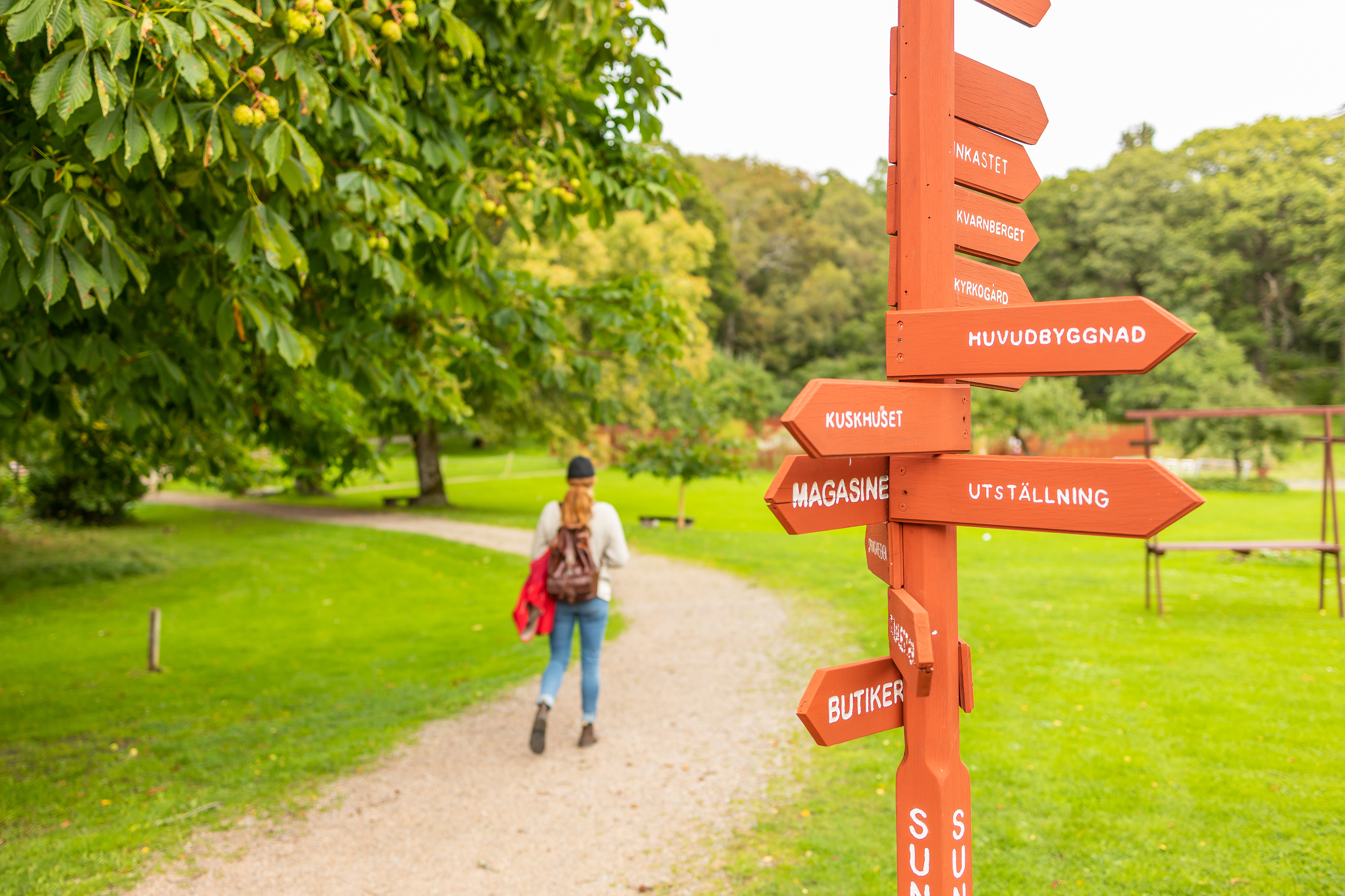 Parken på Sundsby Säteri, Tjörn