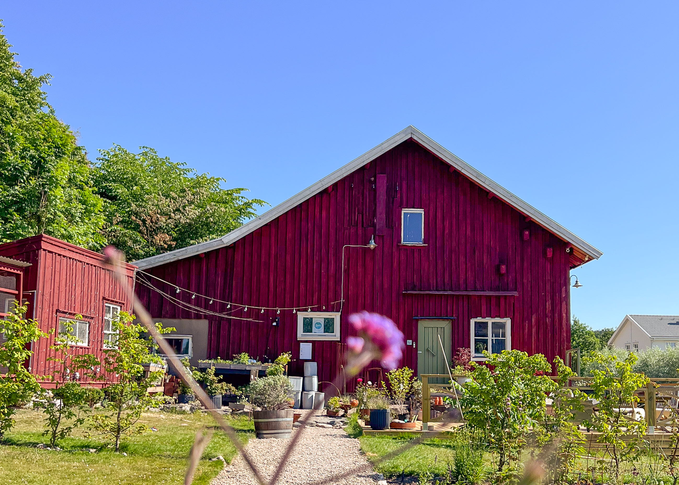 Bartley Garden, Lilla Askerön, Tjörn