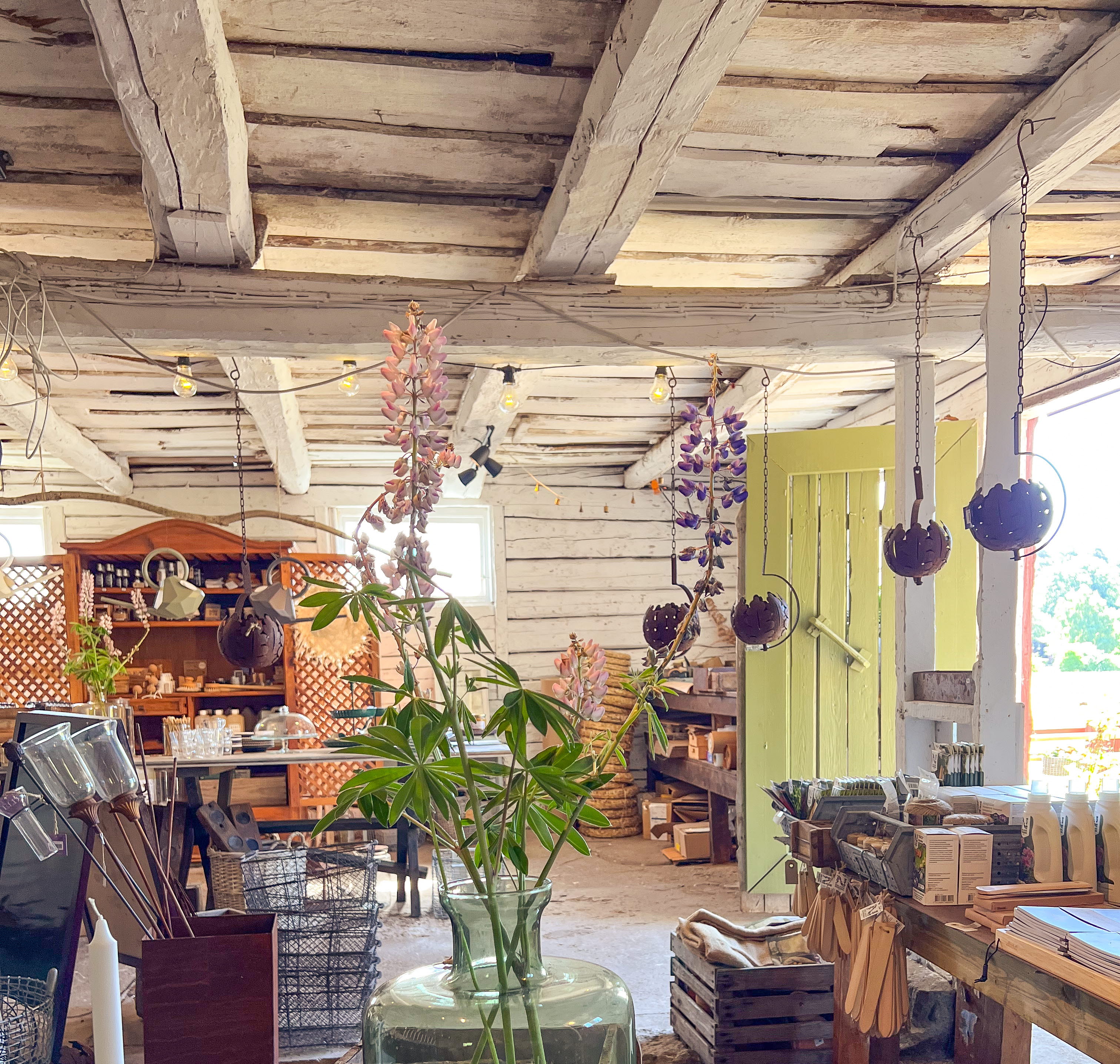 Bartley garden, Lilla Askerön, Tjörn