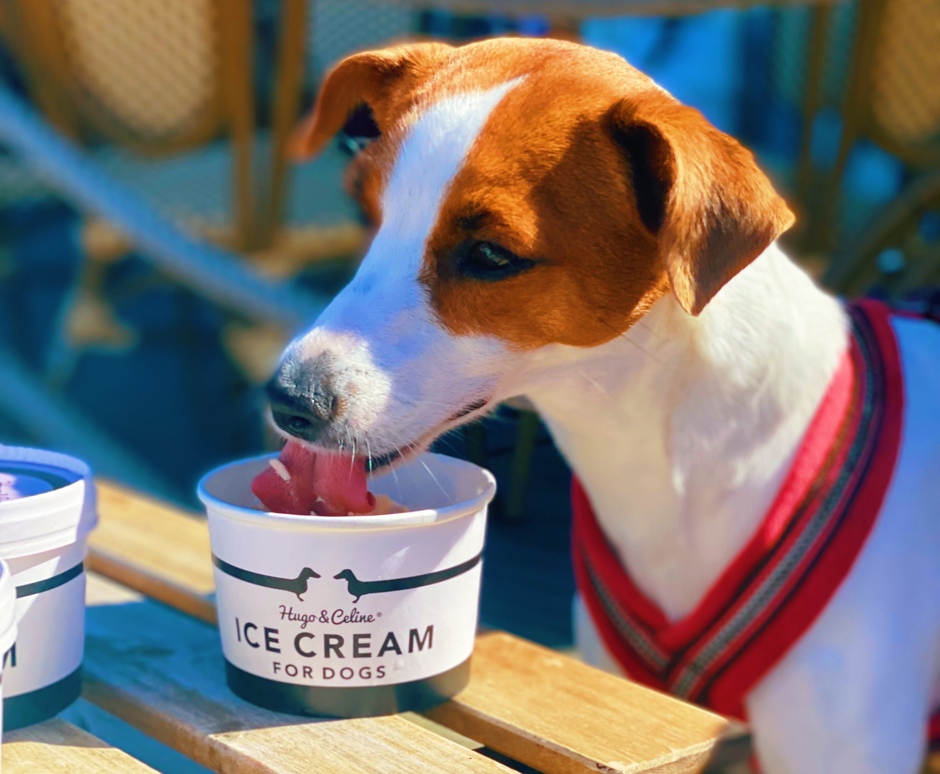 Sommardröm glasscafé